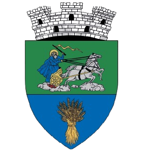 Orașul Costești