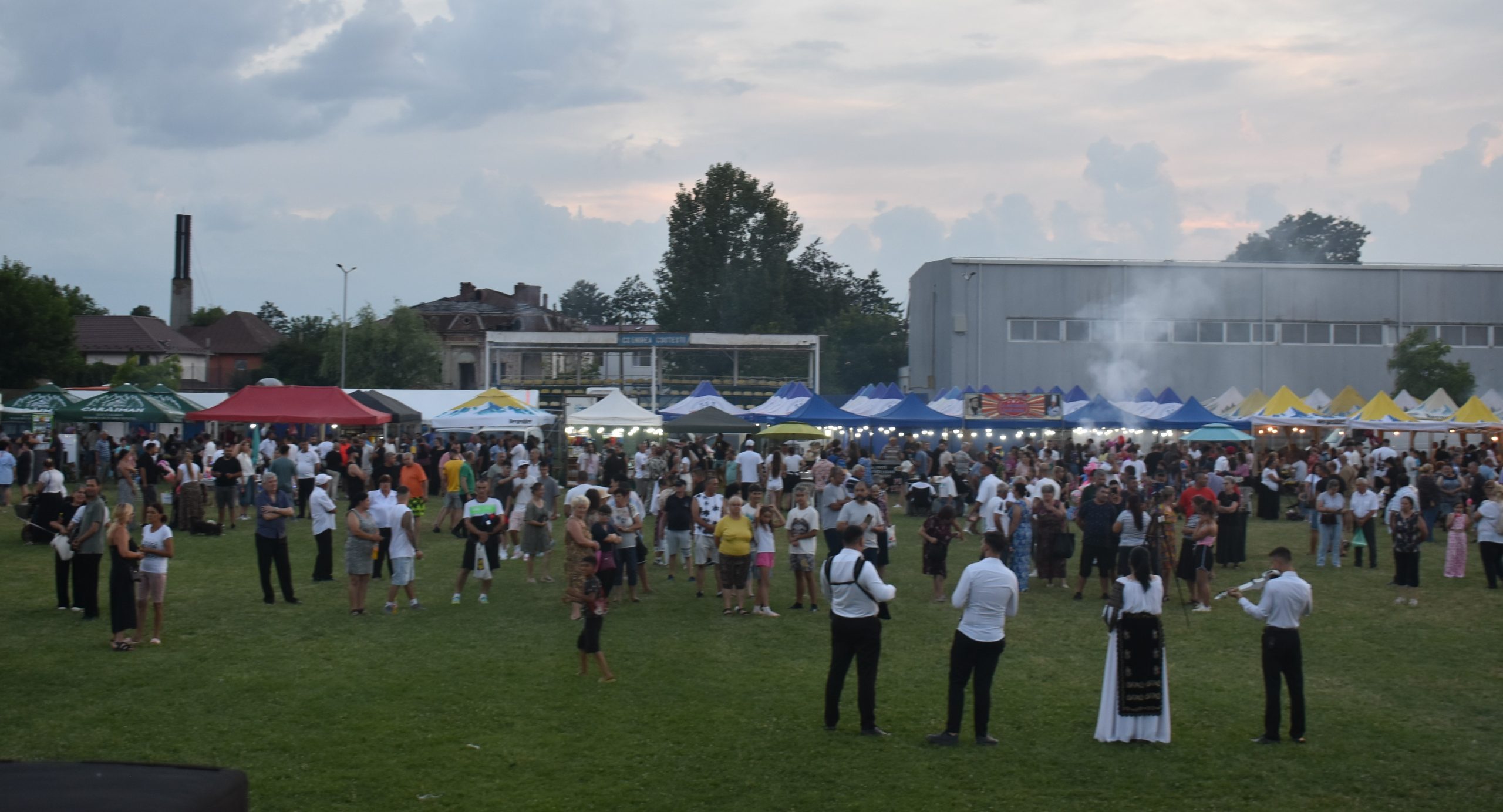 Publicul prezent la Târgul Tradițional de Sfântul Ilie din Costești, în 20 iulie 2026